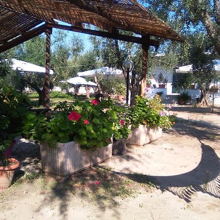 טורה דל'אורסו Casa Vacanza Fiorella מראה חיצוני תמונה