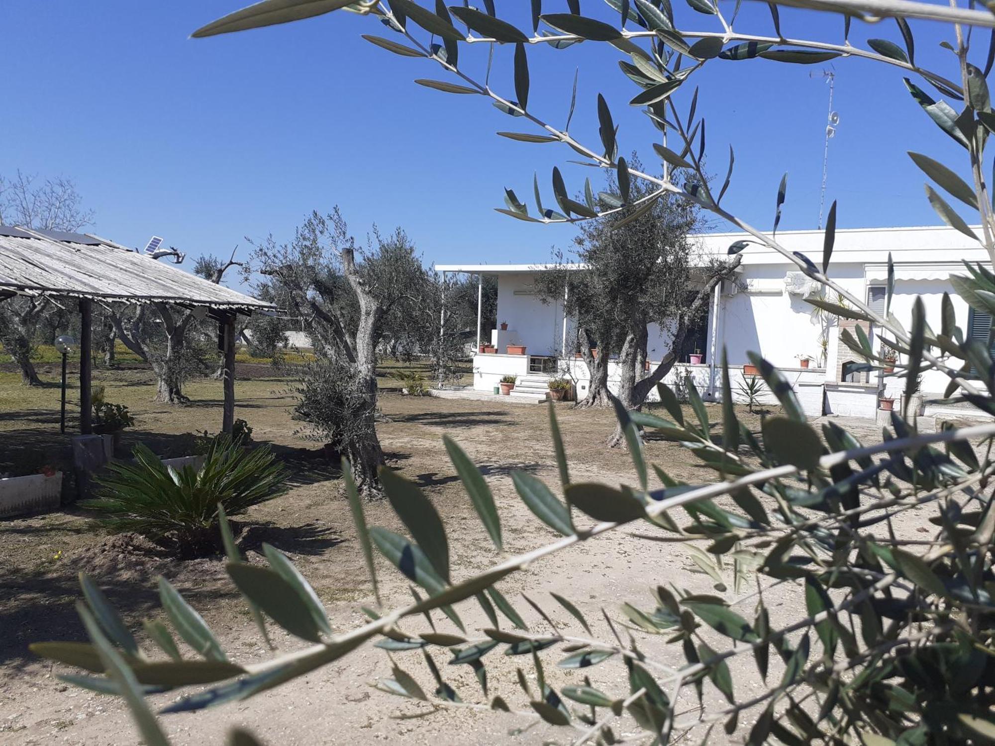 טורה דל'אורסו Casa Vacanza Fiorella חדר תמונה