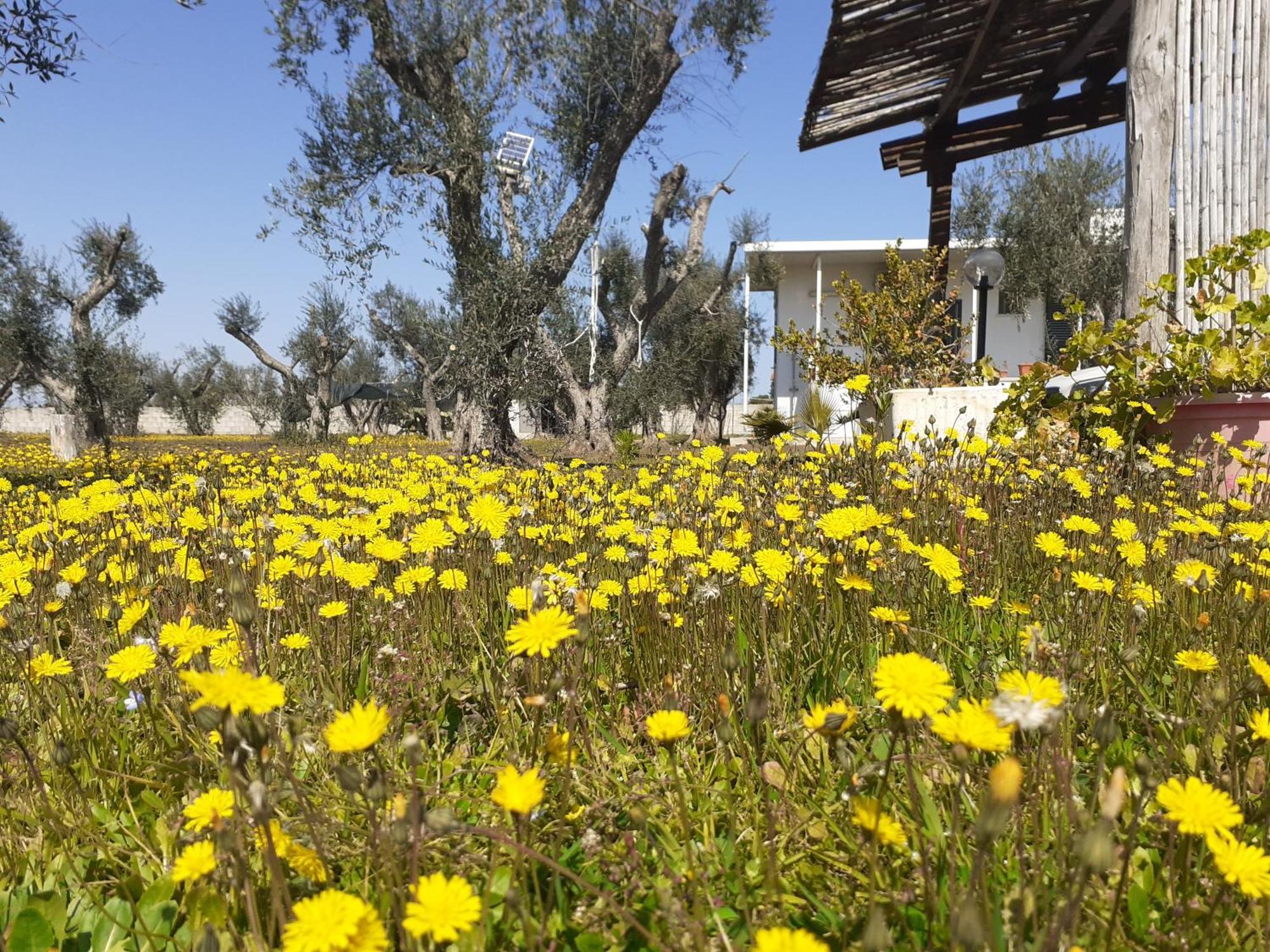 טורה דל'אורסו Casa Vacanza Fiorella חדר תמונה