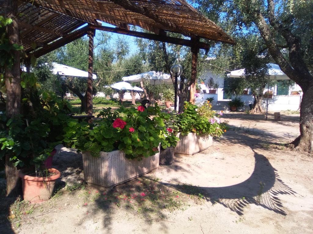 טורה דל'אורסו Casa Vacanza Fiorella מראה חיצוני תמונה