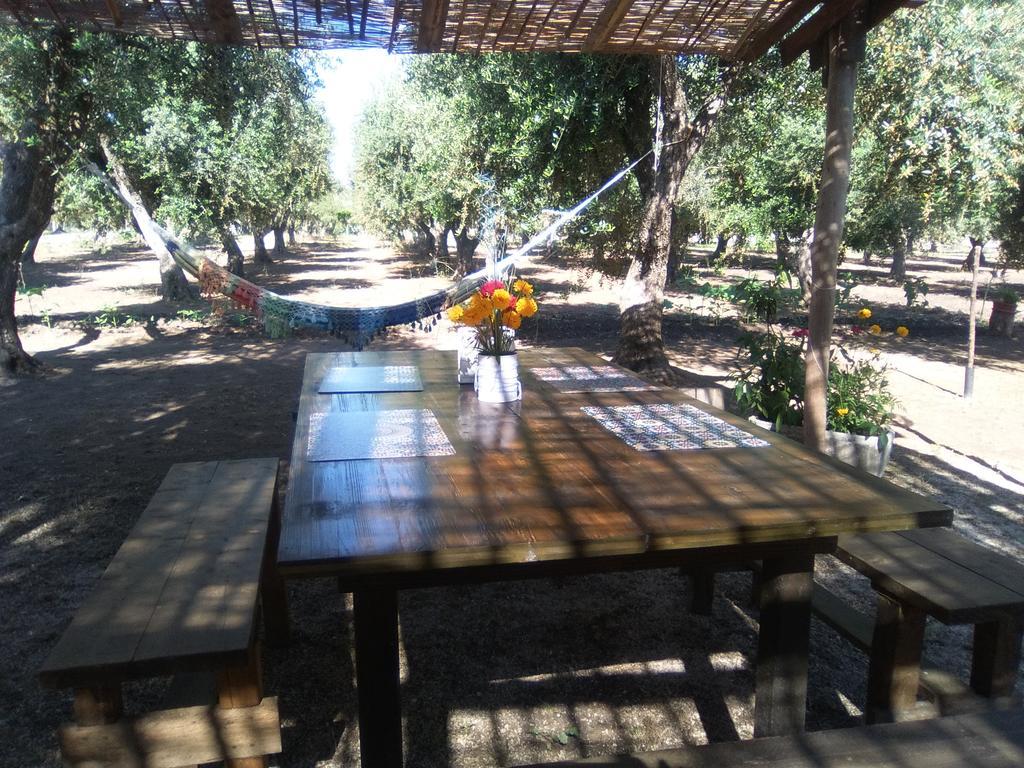 טורה דל'אורסו Casa Vacanza Fiorella מראה חיצוני תמונה