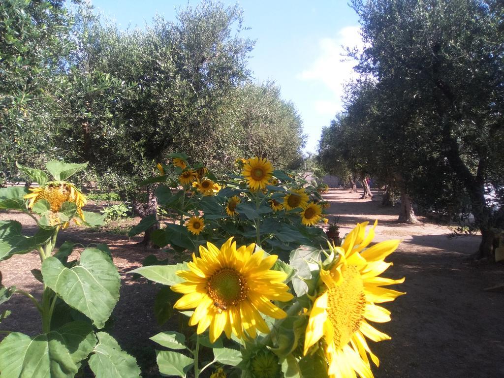טורה דל'אורסו Casa Vacanza Fiorella מראה חיצוני תמונה