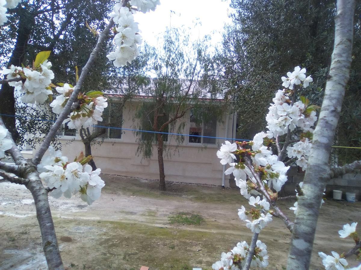 טורה דל'אורסו Casa Vacanza Fiorella מראה חיצוני תמונה