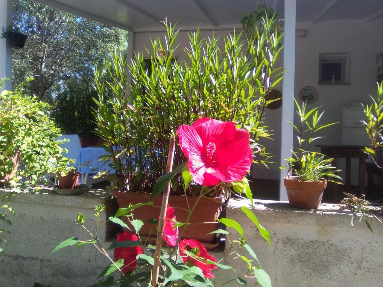 טורה דל'אורסו Casa Vacanza Fiorella מראה חיצוני תמונה